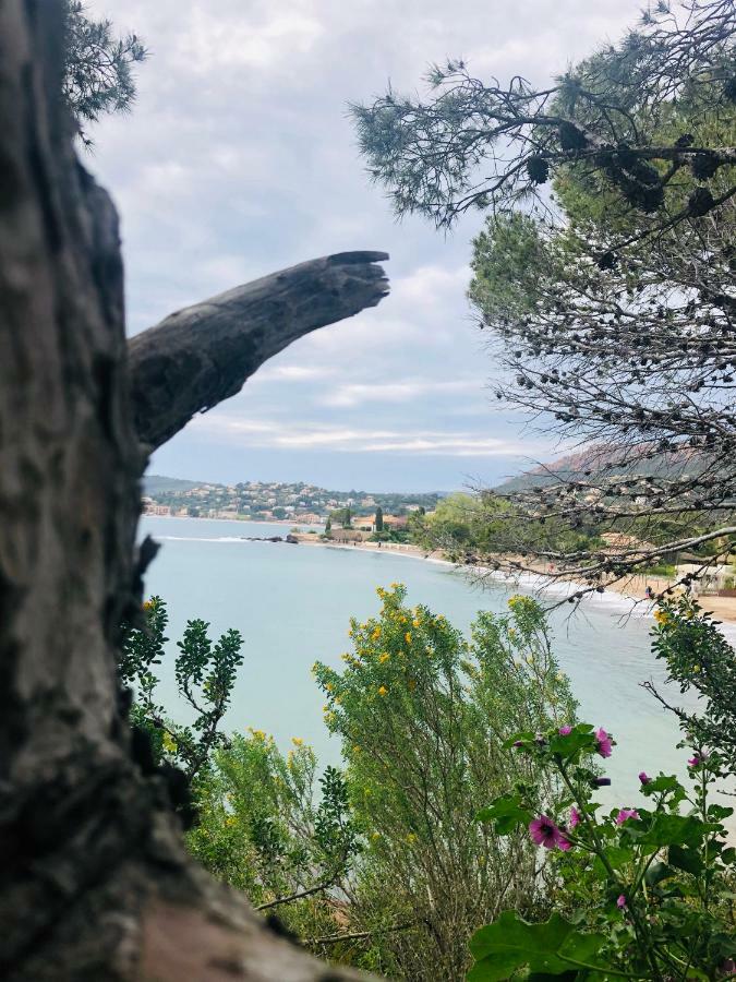 „la Cigalerie“ * Saint-Raphael (Var)